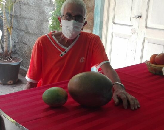 El trinitario Germán Pomares agradece la vitalidad de la tierra de su patio que le regala frutos de talla extra. Fotos: Ana Martha Panadés/Radio Trinidad Digital.