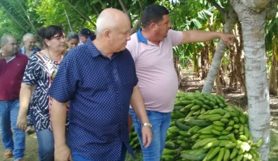 Tapia Fonseca en la finca de Yoandy: a ver cómo capacitamos y preparamos productores que estén cerca para que hagan lo mismo. Fotos: José Luis Camellón/Escambray.