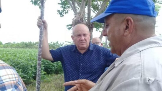 El Vice primer ministro cubano indicó atender a los campesinos, difundir las mejores experiencias, acercar a la base productiva los servicios bancarios, la Sanidad Vegetal, la Empresa de Seguros.