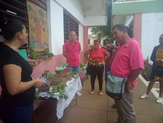 Como uno de los resultados del Taller realizado por el Grupo de Alimentación Escolar en el municipio de Trinidad, los representantes de los niveles educación muestran evidencias del trabajo que realizan respecto a la Alimentación Saludable en las instituciones educativas sureñas. Foto: MINED Trinidad.