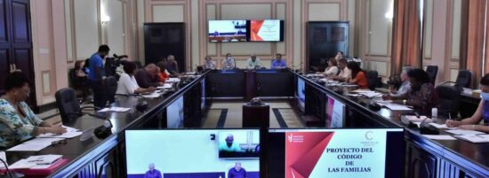 El Consejo de Estado analizó aspectos relevantes del Código de las Familias, previo a su debate y discusión en el Parlamento. Foto: PL.