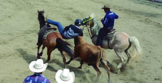 La Feria realizará espectáculos de rodeo y tendrá varios espacios con música campesina y mexicana, así como el Órgano Oriental. Foto: Vicente Brito/Escambray.