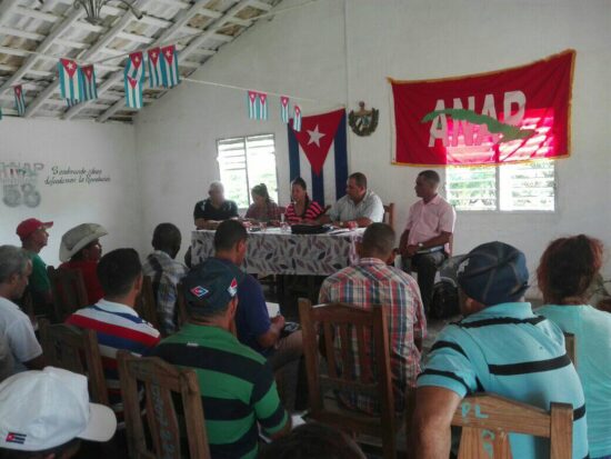 El campesinado sureño debate acerca de sus proyectos socioeconómicos, y la participación a favor del Sí en el referendo del Código de las Familias. Fotos: Alipio Martínez Romero/Radio Trinidad Digital.