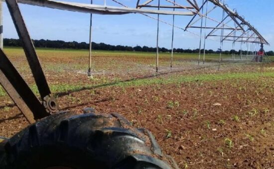 La provincia explota 18 máquinas de riego que irrigan más de 540 hectáreas. Foto: José Luis Camellón/Escambray.