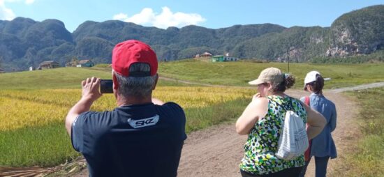 El Valle de Viñales es reconocido con la condición de Monumento Nacional (1979) y está inscripto desde 1999 en la lista del Patrimonio Mundial de la Unesco.