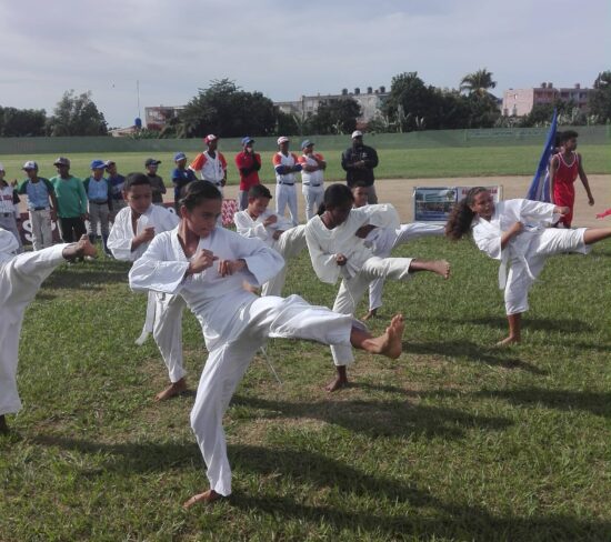 Practicantes de las artes marciales muestran sus habilidades.