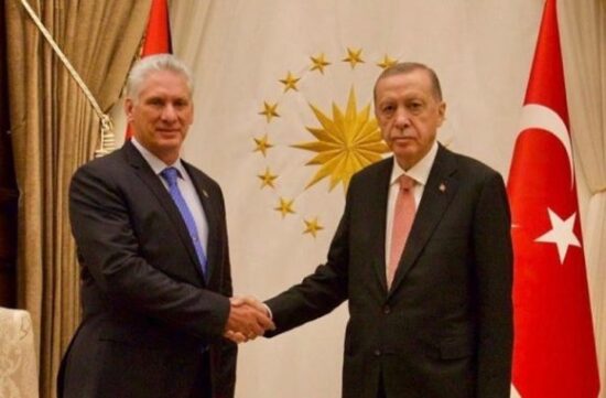 Díaz-Canel fue recibido por el mandatario turco, Recep Tayyip Erdogan. Foto: Cuenta de la Presidencia de Cuba en Twitter.