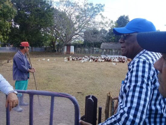 Visita el vicepresidente cubano Salvador Valdés Mesa áreas de La Sierpe donde se fomenta la crianza de gallinas semirústicas con alternativas de alimentación local y con vistas a desarrollar la producción de huevos con destino al autoabastecimiento municipal. Foto: José Luis Camellón/Escambray.