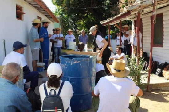 Los asistentes participaron en labores de acabado y de pintura en viviendas intervenidas constructivamente.