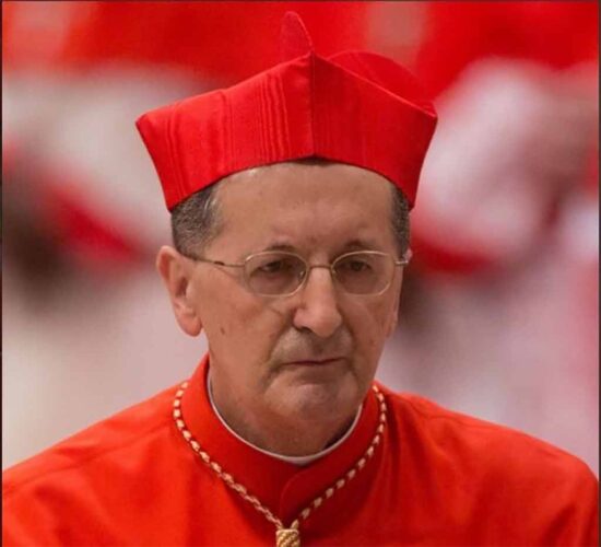 Cardenal Beniamino Stella. Foto: Prensa Latina.