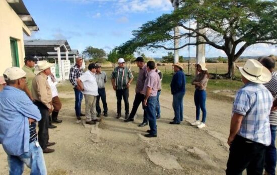 La empresa de Venegas ya muestra avances en las entregas de leche y carne, con distintos destinos como las ventas al turismo, el encargo estatal, y la comercialización directa a la población de Yaguajay. Fotos: CentroVisión Yayabo/Facebook.