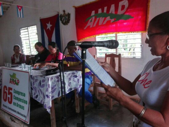 El campesinado trinitario en pos de incrementar la producción de alimentos. Fotos: Alipio Martínez Romero/Radio Trinidad Digital.