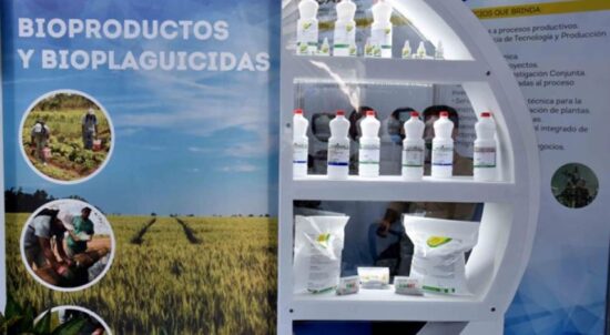 Intenso es el quehacer de Labiofam. Foto: Cubasí.