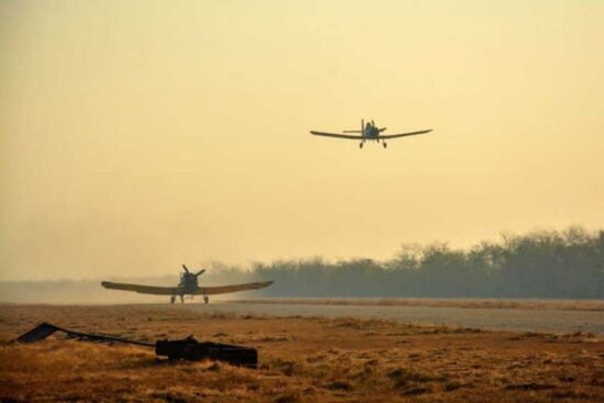 Las aeronaves realizan como promedio diario, entre seis y siete vuelos.