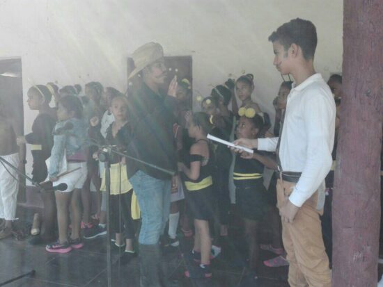 La colmenita trinitaria es fruto del quehacer de Lazara Pérez Coneza de la Brigada de Instructores de Arte José Martí.