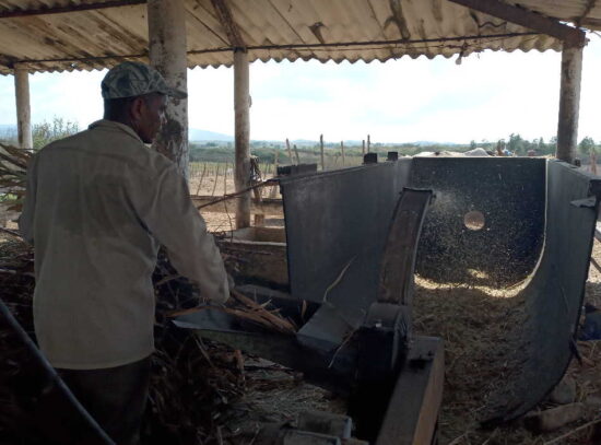 La iniciativa está encaminada a incrementar producción de alimentos.