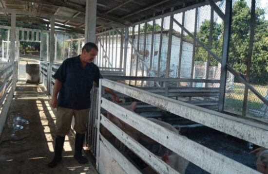 Veterinario de profesión, Gerardo asegura que la experiencia de los colectivos agropecuarios estimula a los trabajadores e incentiva la producción. Fotos: Ana Martha Panadés/Escambray.