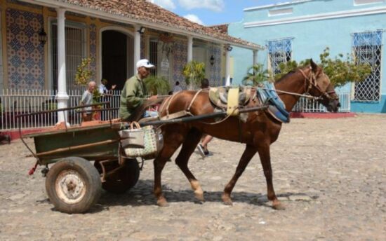 Los carretones, al igual que los coches coloniales, son típicos modos de transporte utilizados desde tiempos remotos, en las calles empedradas de Trinidad.