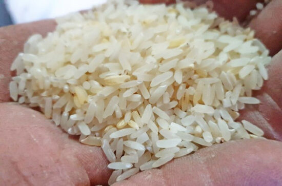 Unas seis mil toneladas de arroz de la cosecha de frío se destinan a la venta regulada en la cadena del Mercado Ideal de cada provincia. Foto: ACN.