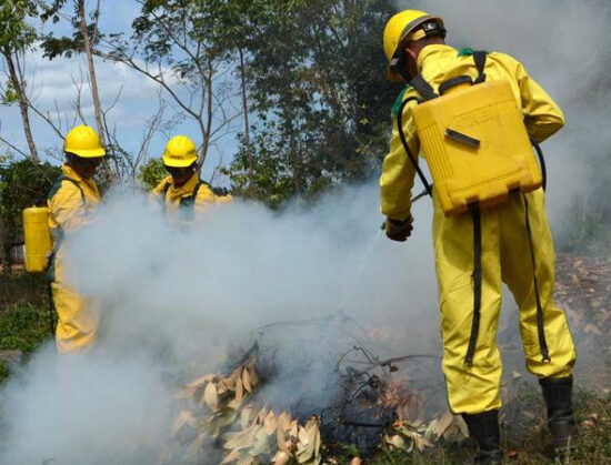 El combate a los incendios forestales es tarea de todo el año. Foto: ACN.