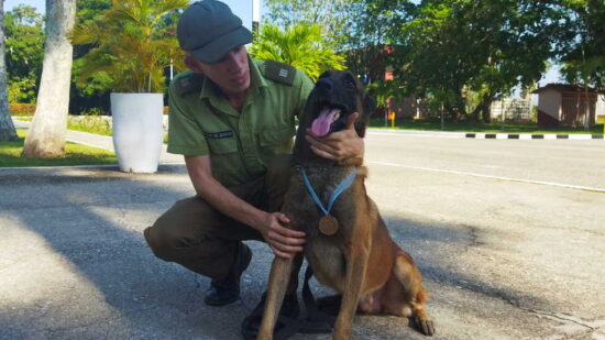 La Jefatura Provincial del Minint otorgó la medalla por el Servicio Distinguido en la institución a la Unidad Cinófila, integrada por el suboficial Juan Fuentes Mainegra y el perro Hugo.