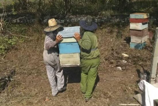 Desde el pasado mes de abril se aprecia una recuperación en los niveles productivos.