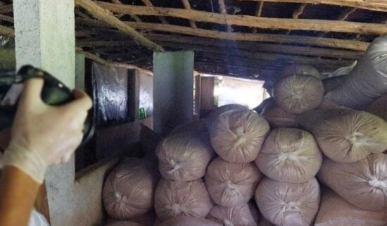 Al ciudadano se le ocuparon 218 sacos de maíz y 1 003 sacos de soya, con un peso total de 46.88 toneladas de pienso. Fotos: Yosdany Morejón/Escambray.